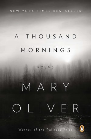 A Thousand Mornings book cover