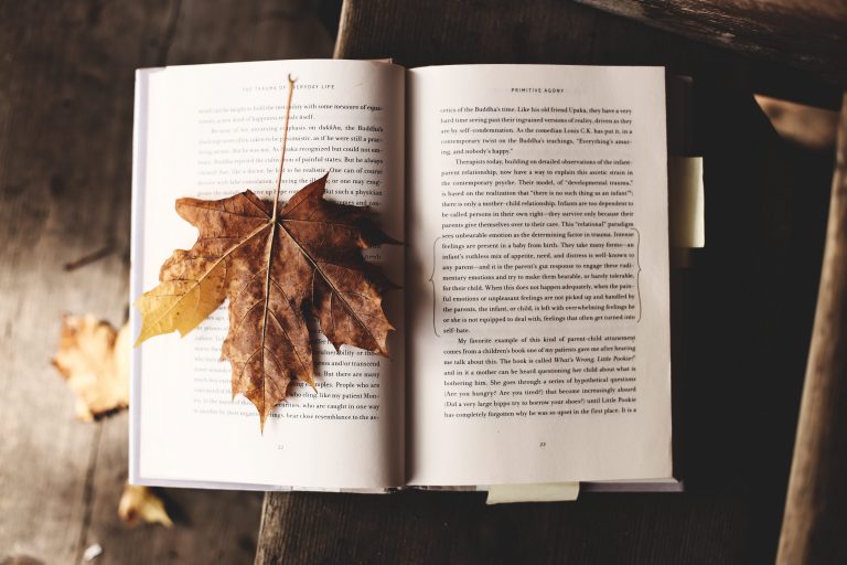 10 books that feel like fall for cozy & witchy autumn vibes