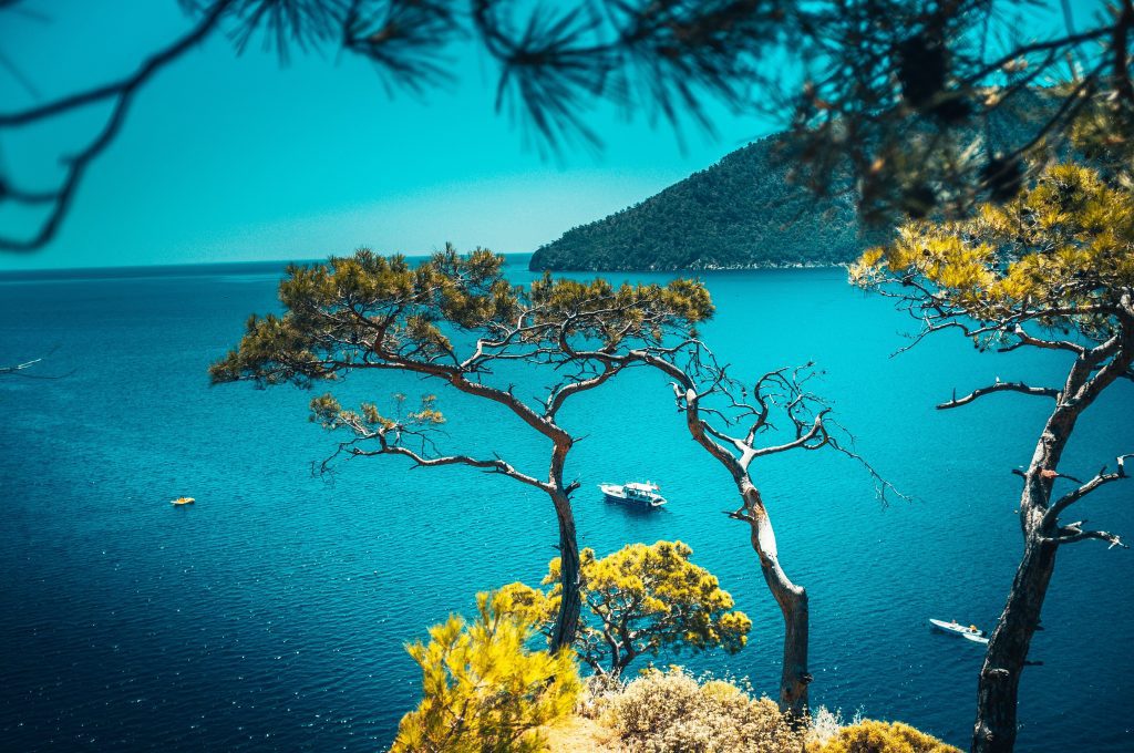 Beautiful Greek Island with trees and nature
